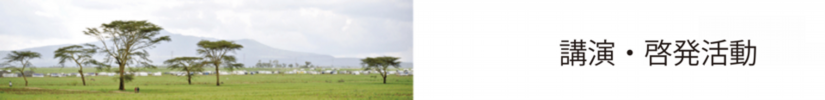 hp木.png